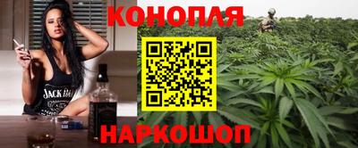 дживик Новозыбков