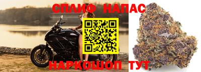 ALPHA PVP Новодвинск