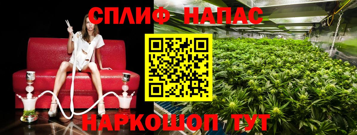 МАРИХУАНА SATIVA & INDICA Свободный